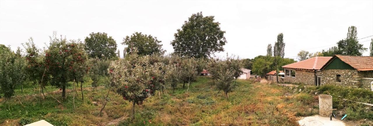 Villa Lila Dolno Dupeni 외부 사진