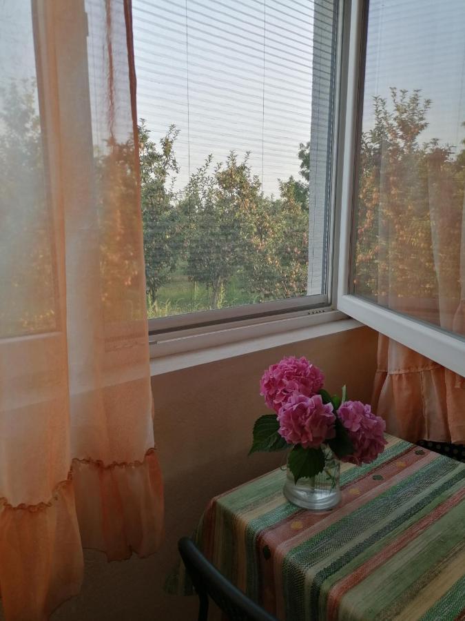 Villa Lila Dolno Dupeni 외부 사진